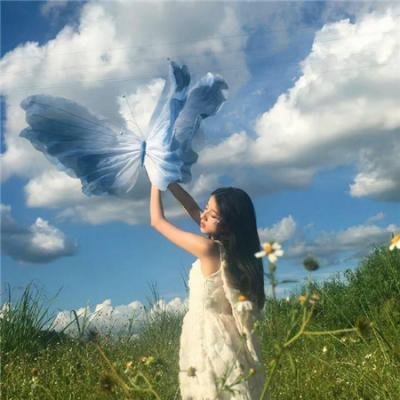选情尬翻天